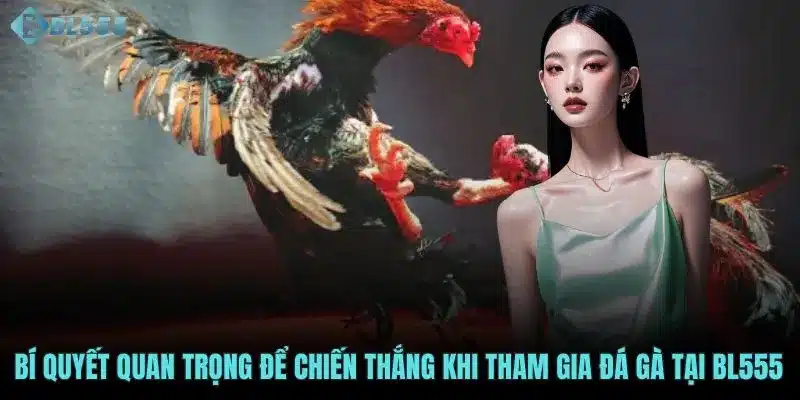 Bí quyết quan trọng để chiến thắng khi tham gia đá gà tại BL555