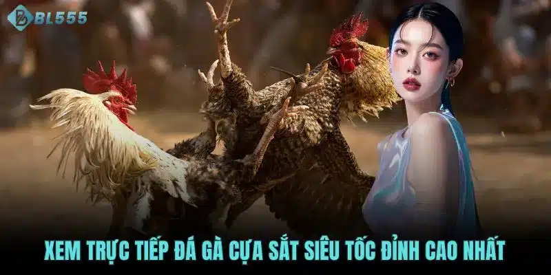 Xem trực tiếp đá gà cựa sắt siêu tốc đỉnh cao nhất